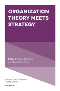 Organization Theory Meets Strategy_cover