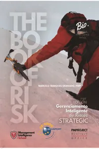 Gerenciamento Inteligente de Riscos - The Book of Risk | Strategic_cover