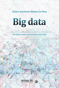 Big data_cover
