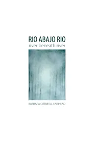 Rio Abajo Rio_cover