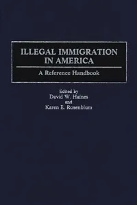 Illegal Immigration in America_cover