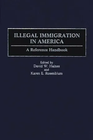 Illegal Immigration in America