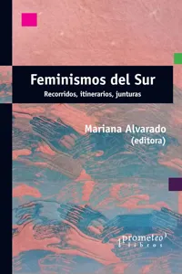 Feminismos del sur_cover