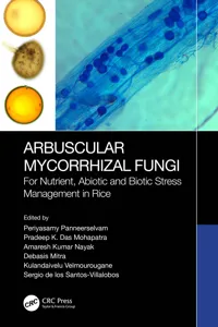 Arbuscular Mycorrhizal Fungi_cover