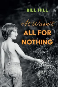 It Wasn't All for Nothing_cover