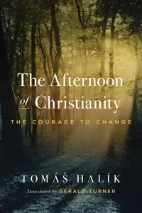 The Afternoon of Christianity_cover