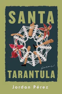 Santa Tarantula_cover