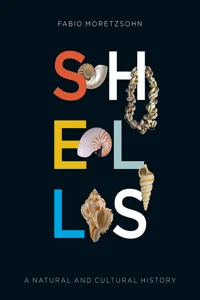 Shells_cover