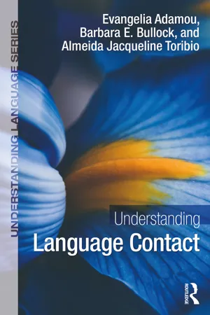 Understanding Language Contact