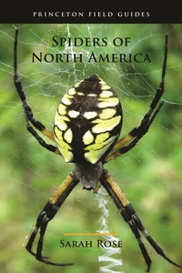 Spiders of North America_cover