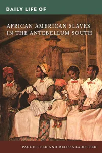 Daily Life of African American Slaves in the Antebellum South_cover