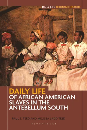 Daily Life of African American Slaves in the Antebellum South