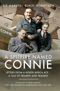 A Spitfire Named Connie_cover