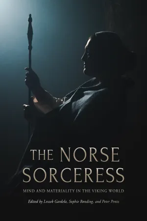 The Norse Sorceress