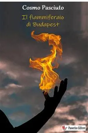 Il fiammiferaio di Budapest