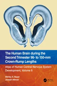 The Human Brain during the Second Trimester 96– to 150–mm Crown-Rump Lengths_cover