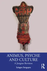 Animus, Psyche and Culture_cover