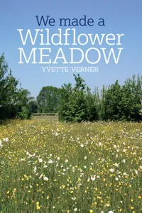 We Made a Wildflower Meadow_cover