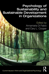 Psychology of Sustainability and Sustainable Development in Organizations_cover