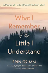 What I Remember of the Little I Understand_cover