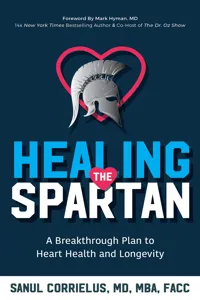 Healing the Spartan_cover
