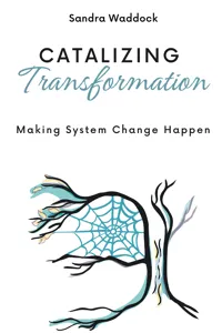 Catalyzing Transformation_cover