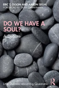 Do We Have a Soul?_cover