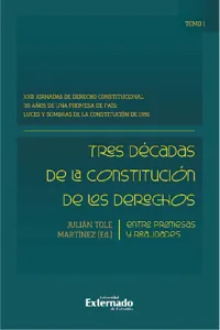 Tres décadas de la constitución de los derechos: entre promesas y realidades_cover