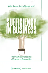 Sufficiency in Business_cover