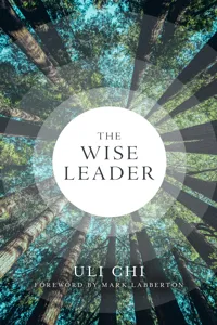 The Wise Leader_cover