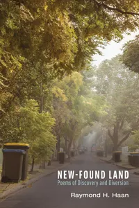 New-Found Land_cover