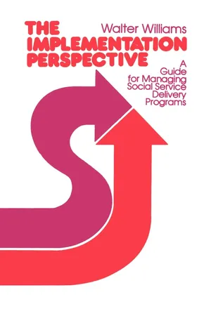 The Implementation Perspective