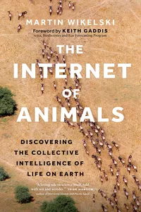 The Internet of Animals_cover