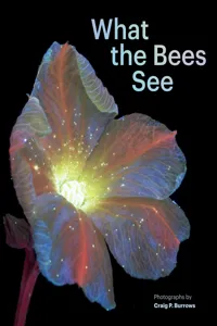 What the Bees See_cover