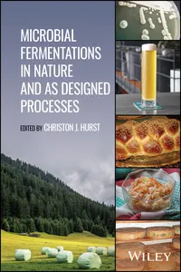 Microbial Fermentations in Nature and as Designed Processes_cover