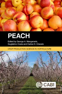 Peach_cover