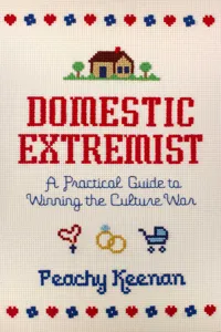 Domestic Extremist_cover