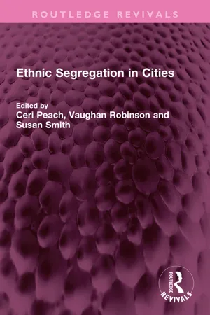 Ethnic Segregation in Cities