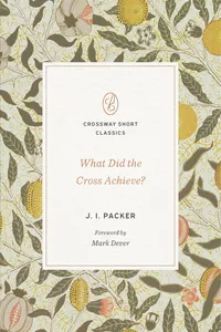 What Did the Cross Achieve?_cover