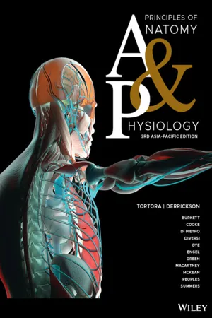 Principles of Anatomy and Physiology, 3rd Asia-Pacific Edition
