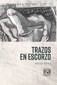 Trazo en escorzo_cover