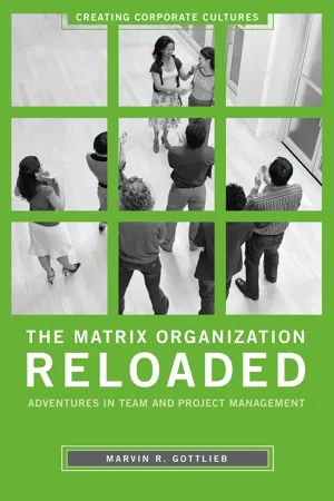 The Matrix Organization Reloaded