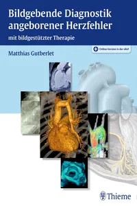 Gutberlet, Bildg. Diagn Herzf, A1 ePub_cover