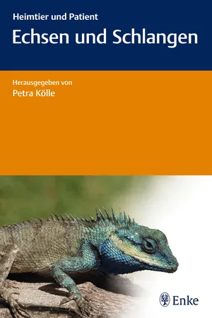 Kölle, Echsen + Schlangen, A1, ePub