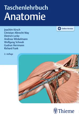 Kirsch, TLB Anatomie, A2, ePub