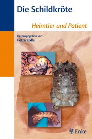 Kölle, Schildkröte, A1, ePub