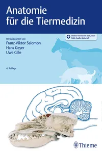 Salomon, Anatomie Tiermedizin, A4, ePub_cover