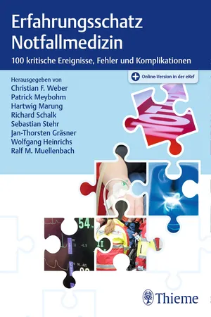 Weber, Erfahrungsschatz Notfall, A1, ePub