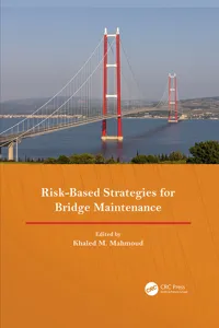 Risk-Based Strategies for Bridge Maintenance_cover