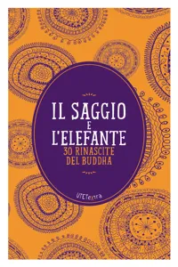 Il saggio e l'elefante_cover